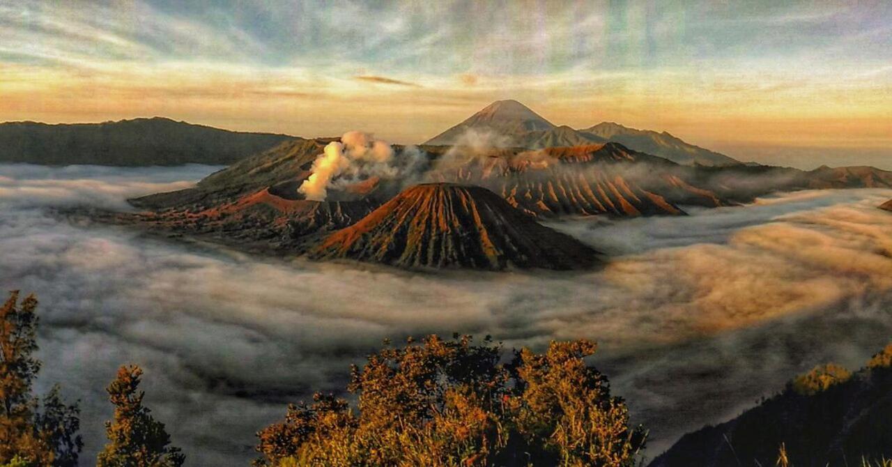 Ijen Transito Hotell Ketapang  Exteriör bild