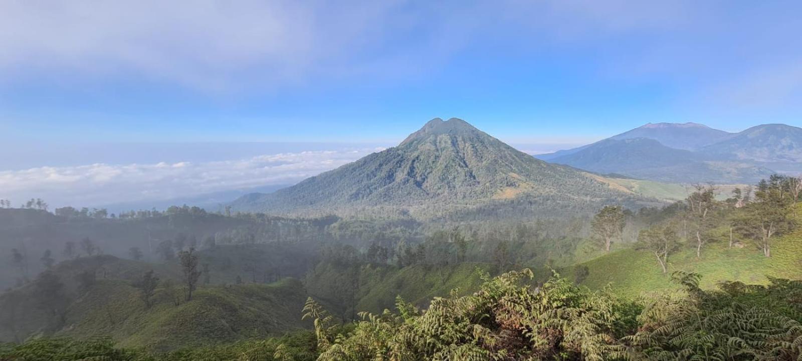 Ijen Transito Hotell Ketapang  Exteriör bild